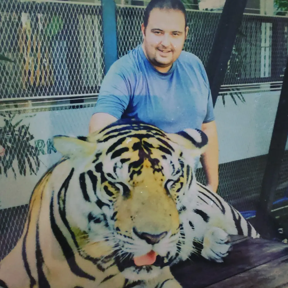 Tom with an adult tiger during a visit to a tiger attraction near Pattaya